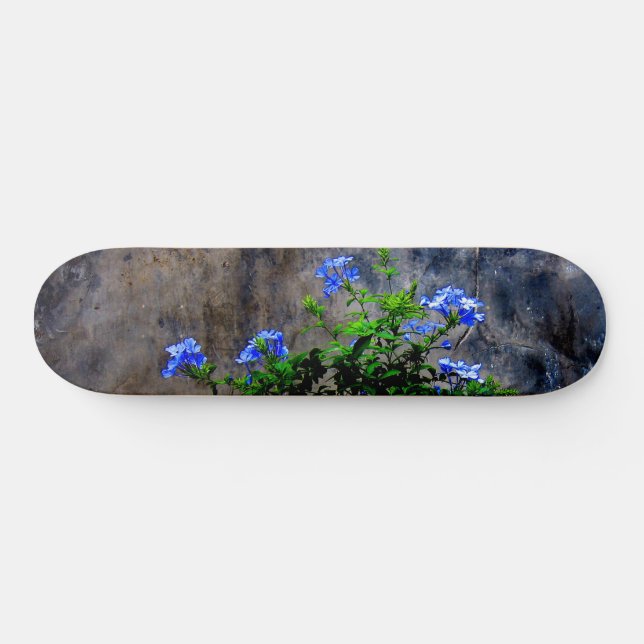 Blue Plumbago Skateboard (Horz)