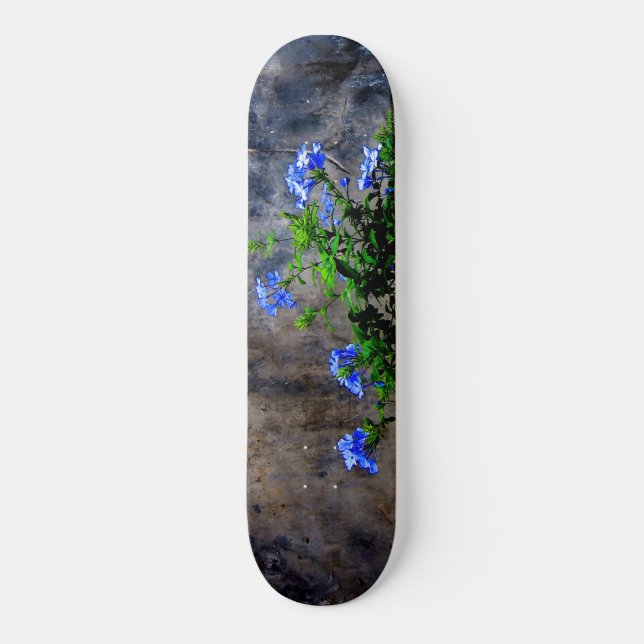 Blue Plumbago Skateboard (Front)