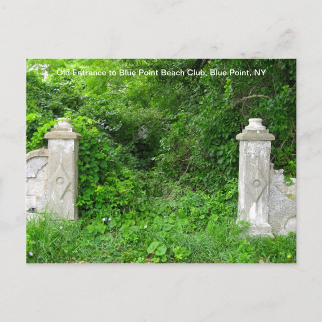 Blue Point Beach Club Postcard (Front)