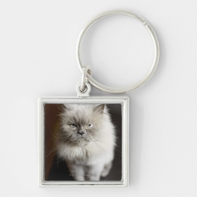 Blue Point Himalayan Cat looking irritated Keychain (Front)