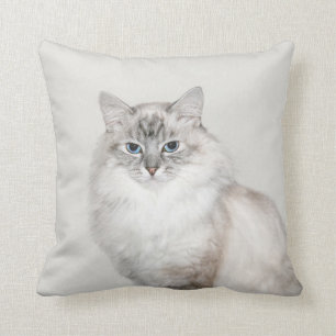 Blue point Himalayan cat Throw Pillow