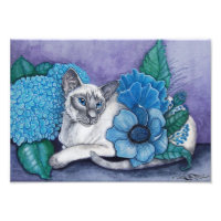 Blue Point Siamese