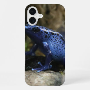 Blue Poison Arrow Frog iPhone 16 Plus Case