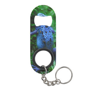 Blue Poison Arrow Frog Mini Bottle Opener