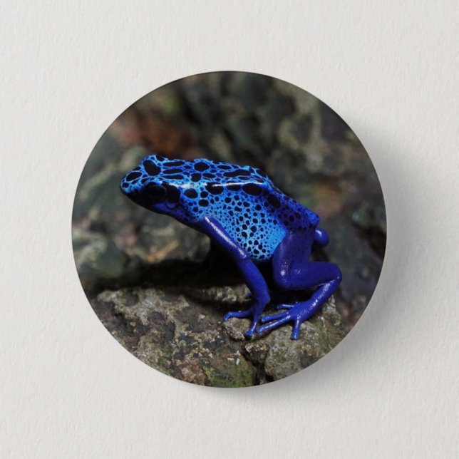 Blue Poison Dart Frog, Bright Blue Frog 2 Inch Round Button (Front)