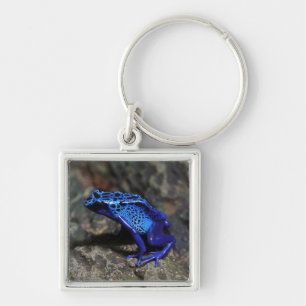 Blue Poison Dart Frog, Bright Blue Frog Keychain