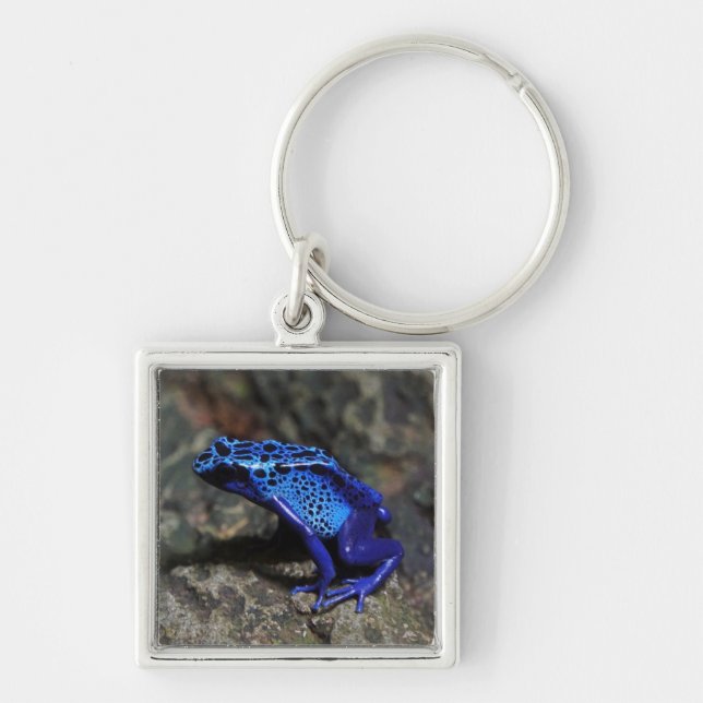 Blue Poison Dart Frog, Bright Blue Frog Keychain (Front)