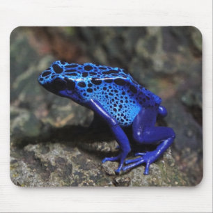 Blue Poison Dart Frog, Bright Blue Frog Mouse Pad