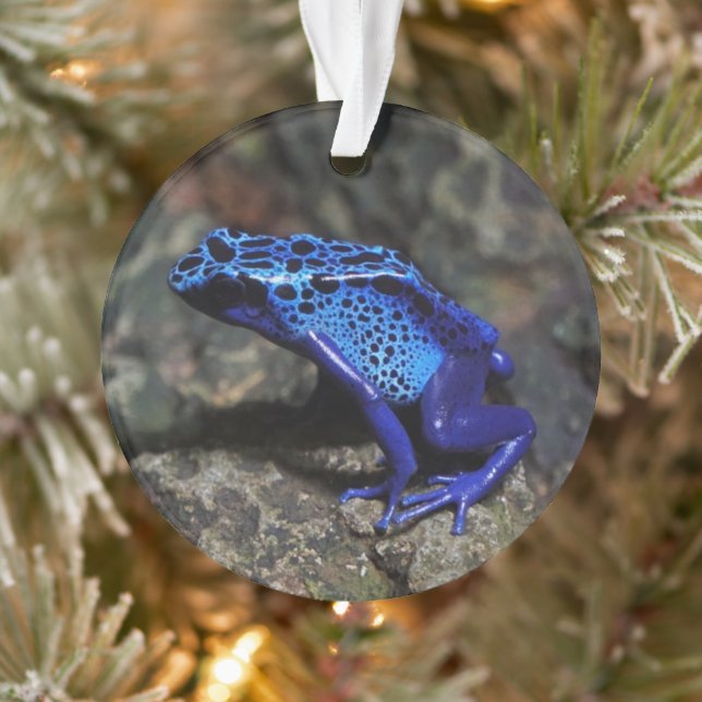 Blue Poison Dart Frog, Bright Blue Frog Ornament (Tree)