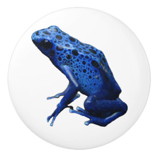 Blue Poison Dart Frog Ceramic Knob