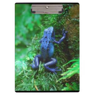 Blue Poison Dart Frog Clipboard