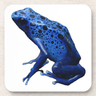Blue Poison Dart Frog Coaster