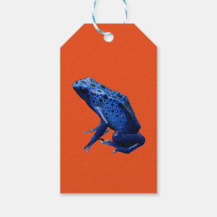 Blue Poison Dart Frog Gift Tags