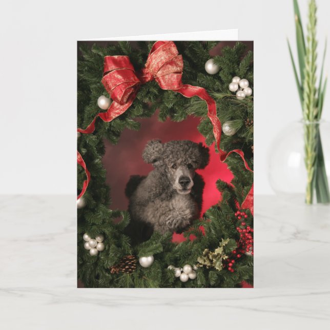 Blue Poodle Jumping Through a Christmas Wreath Holiday Card (Front)