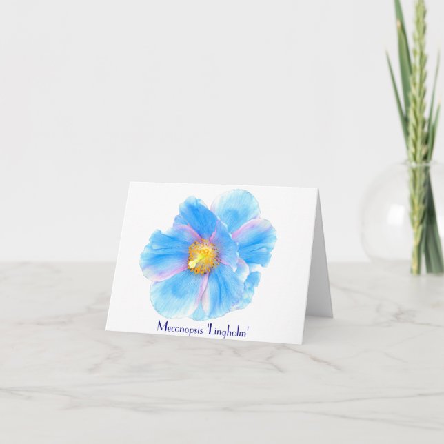 Blue Poppies Folded Note Greeting Card (Front)