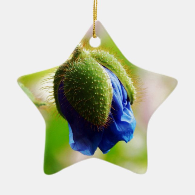 Blue Poppy Ceramic Ornament (Front)