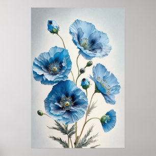 Blue Poppy Flowers Art Print Poster