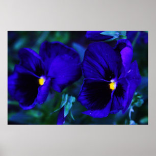 Blue Poster