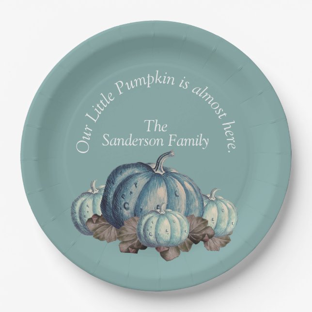  Blue Pumpkin Baby Shower Paper Plate (Front)