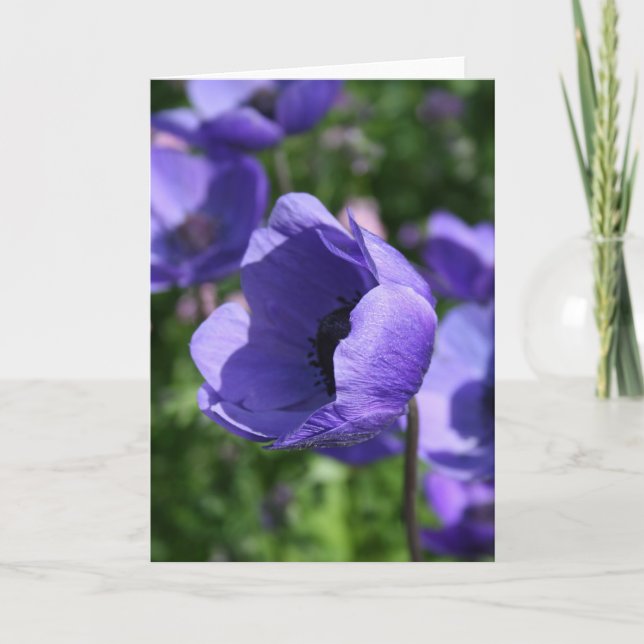 Blue Purple Anemone Floral Photography GC Card (Front)