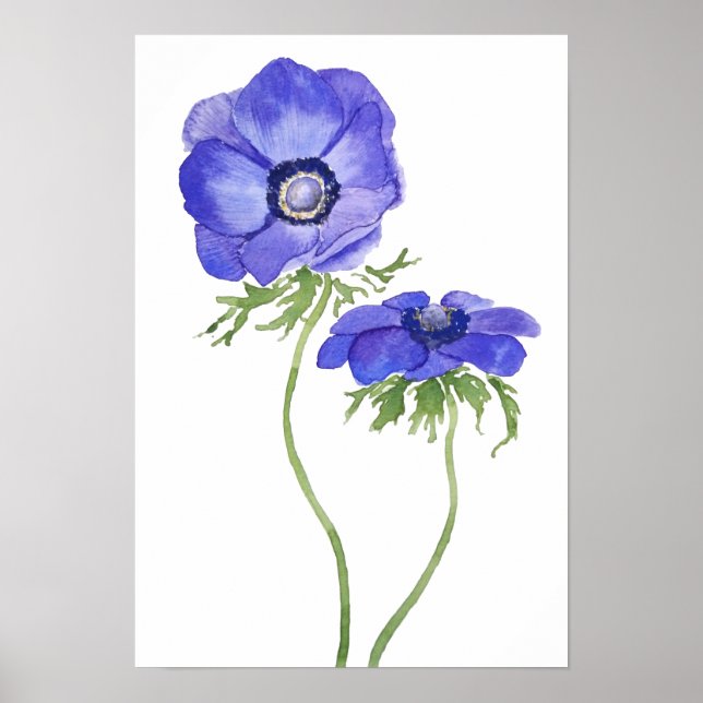 blue purple anemone flowers watercolor poster (Front)