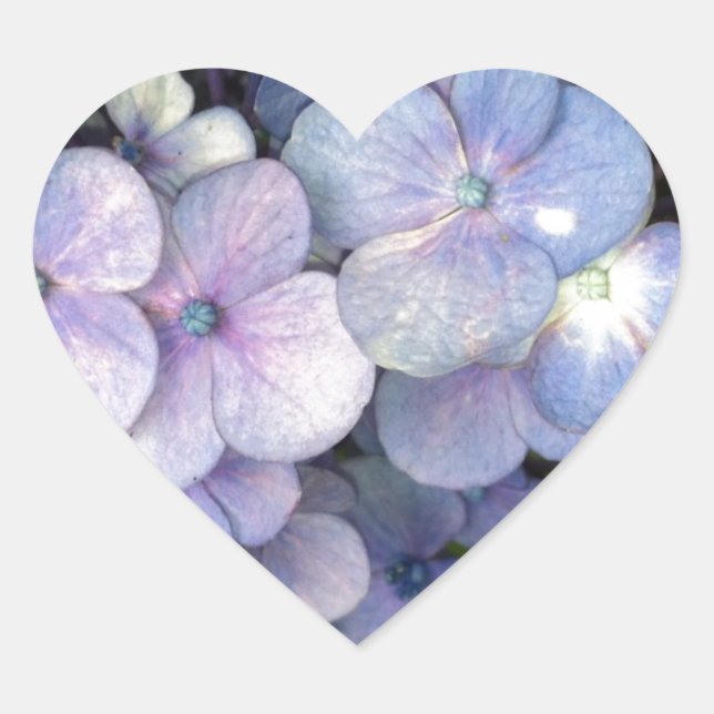 Blue Purple Hydrangea Heart Stickers (Front)