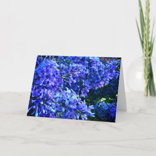 Blue purple lilacs romantic blue floral photo card