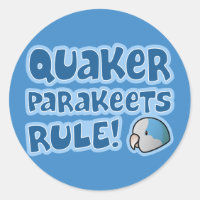 Blue Quaker Parakeets Rule