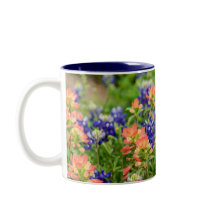 Blue & red Bluebonnets & paintbrushes wildflowers