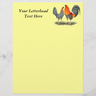 Blue Red Gamefowl