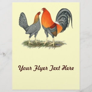Blue Red Gamefowl Flyer