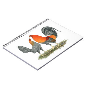 Blue Red Gamefowl Notebook
