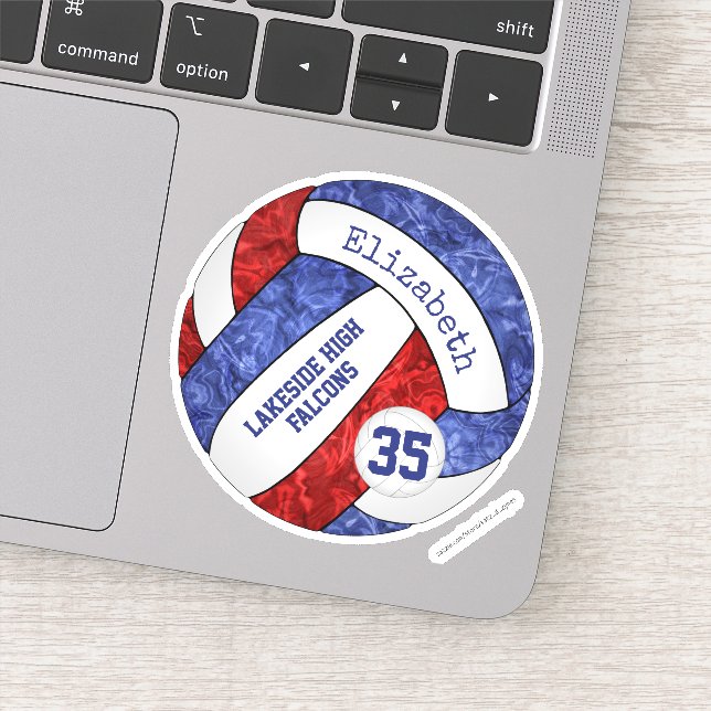 blue red girls volleyball school team mascot name (Detail)