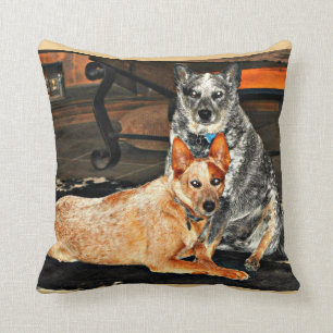 Blue/Red Heeler Throw Pillow
