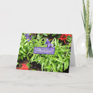 Blue & Red Salvia Thank You Card