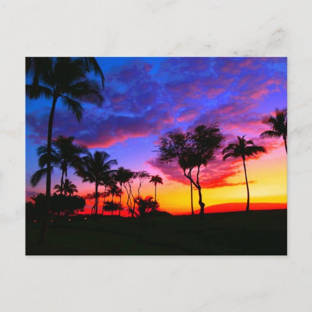 Blue Red Sunset Exotic Hawaiian Beach Palm Trees Postcard (Front)
