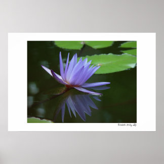 Blue Reflections Poster