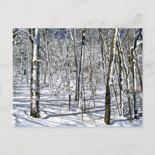 Blue Ridge Mountain Magic under a Winter Spell Postcard