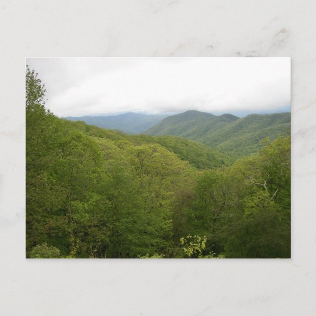 Blue Ridge Mountains, North Carolina Postcard (Front)