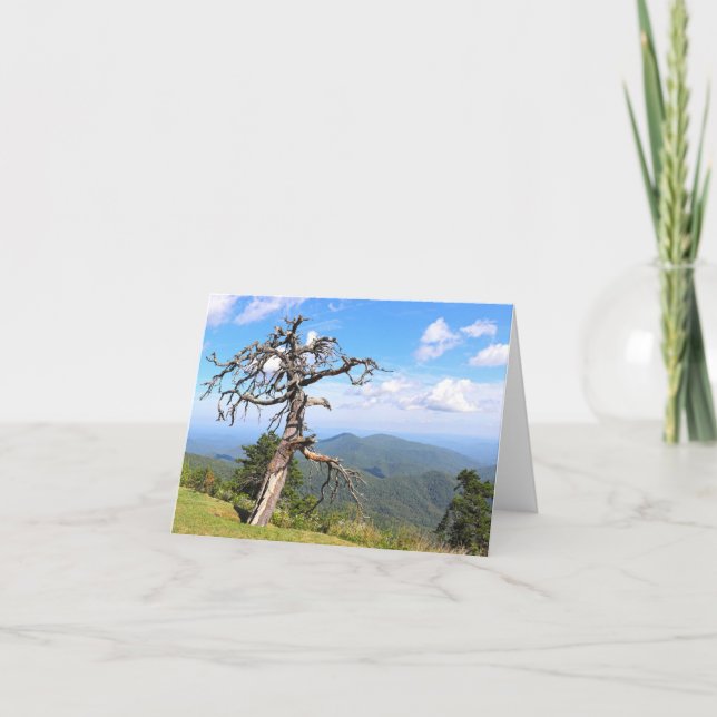Blue Ridge Mountains Photo (Devant)
