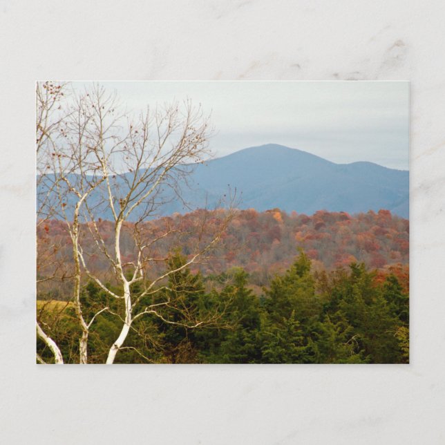 Blue Ridge Mountains VA Landscape Photo Shenandoah Postcard (Front)