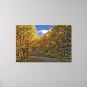 Blue Ridge Parkway curving through autumn colours Canvas Print