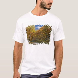 Blue Ridge Parkway curving through autumn colours T-Shirt
