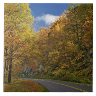 Blue Ridge Parkway curving through autumn colours Tile