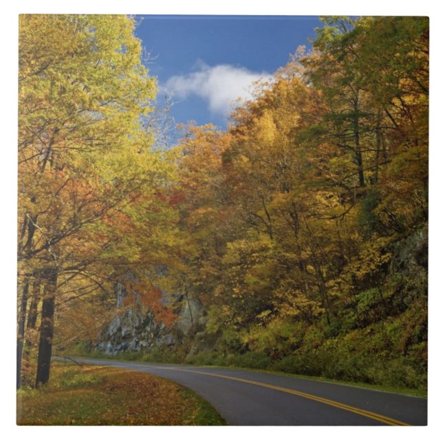 Blue Ridge Parkway curving through autumn colours Tile (Front)