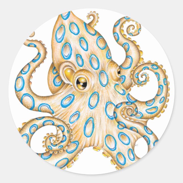 Blue ring Octopus on White Ink Classic Round Sticker (Front)