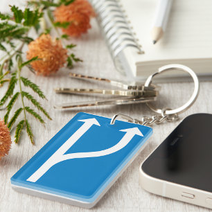 Blue Road Sign Two Straight Arrows Keychain