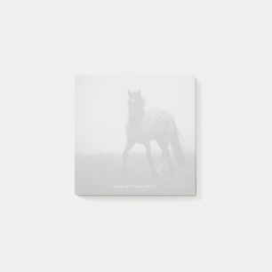 Blue Roan Mist - 3" x 3" Notes