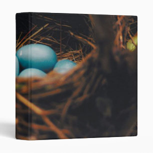 Blue Robin's Egge in Nest Binder
