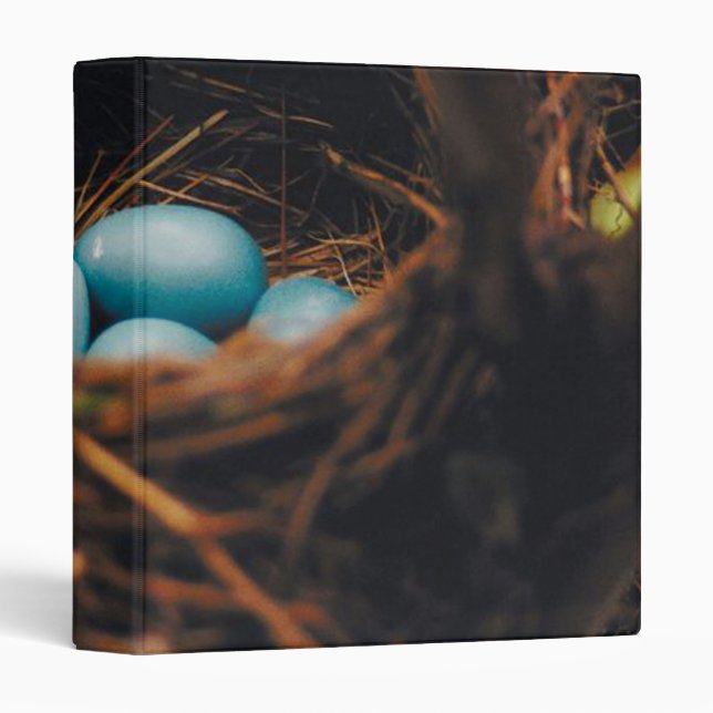 Blue Robin's Egge in Nest Binder (Front/Spine)